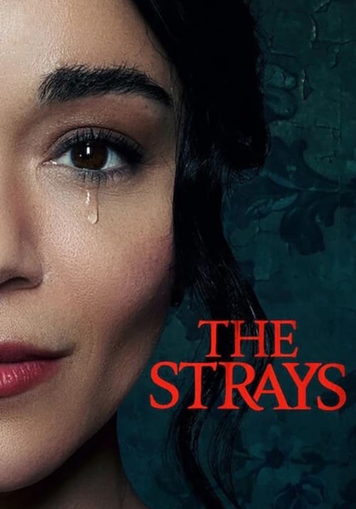 The Strays : All cast & characters, Release date